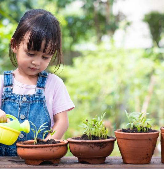 B17_From-children-to-nature